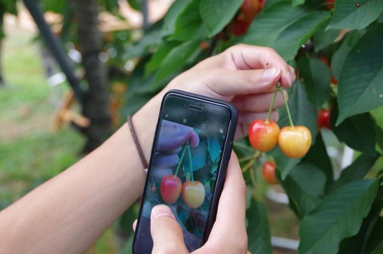 37684654_210244916353004_6296085772881625088_n