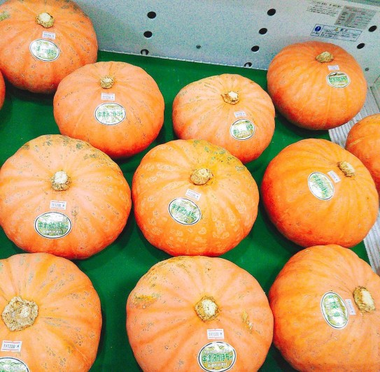かぼちゃ.JPG